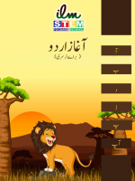 Urdu N